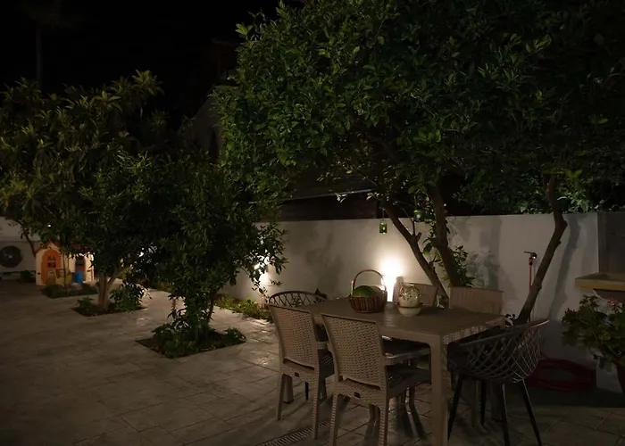The Back Yard